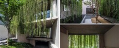 Обширные Подвесные Растения Смягчают Использование Бетона В Дизайне Этого Дома