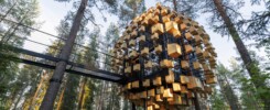 350 Птичьих Домиков Занимают Этот Подвесной Гостиничный Номер В Шведском Лесу